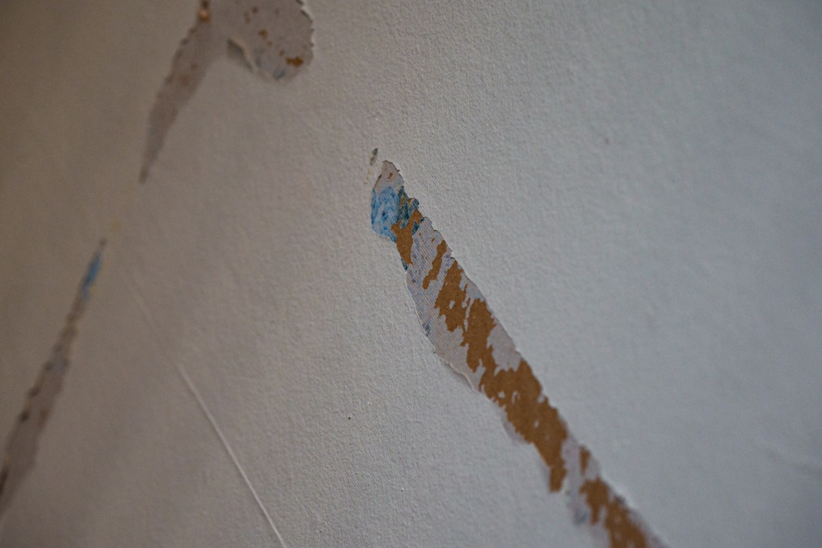 Sewage Cleanup service in Virginia Beach, VA